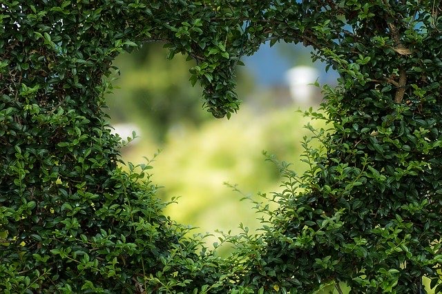 La ciencia del amor