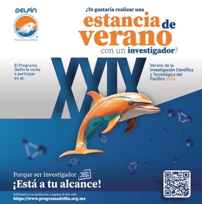 Abierta convocatoria de verano del Programa Delfín