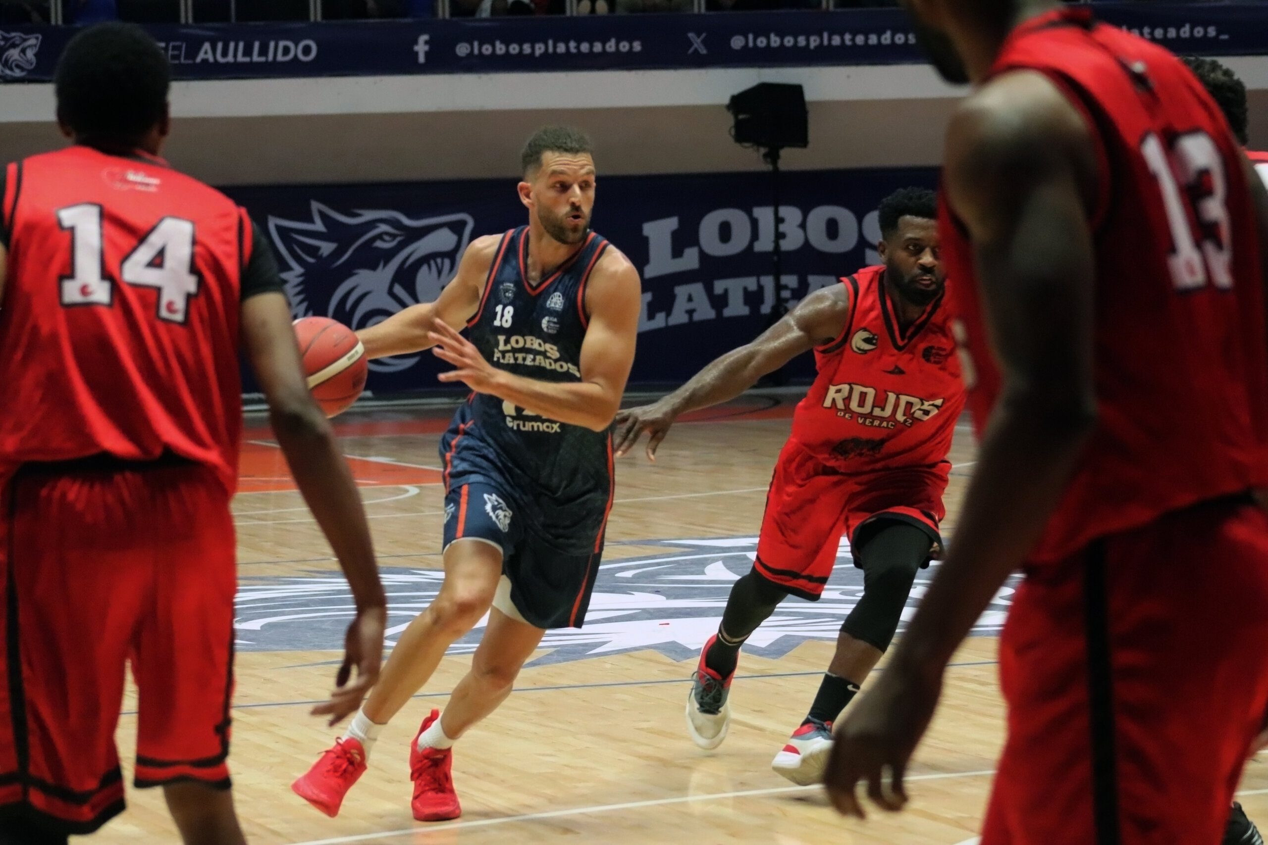 LOBOS PLATEADOS LE REPITE LA DOSIS A LOS HALCONES Y AÚLLA CON MIRAS A LA TEMPORADA