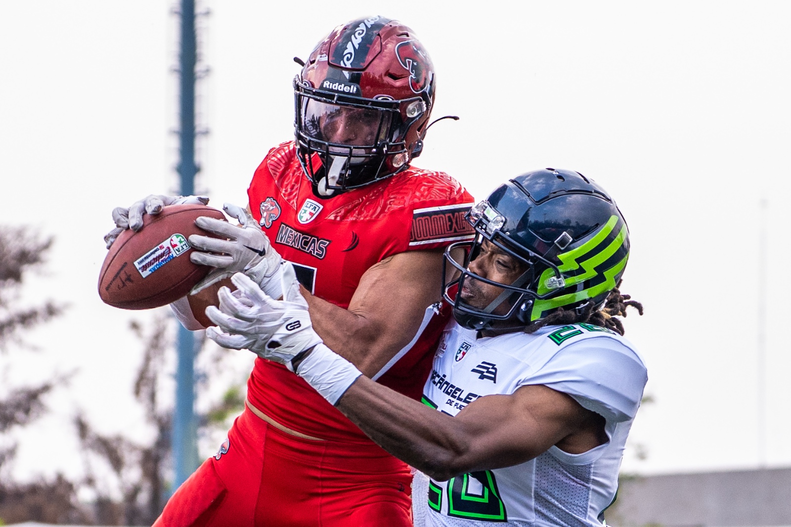 Whatsapp Image 2025 05 17 At 5.27.28 Pm