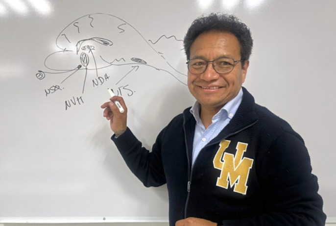 El placer de comer es clave en el estudio de la obesidad