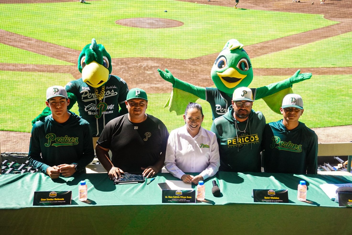 Whatsapp Image 2025 10 27 At 2.33.29 Pm