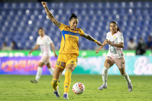 El Tigres de Hermoso enfrenta al América de Guerrero y Vilamala, en la final del Apertura
