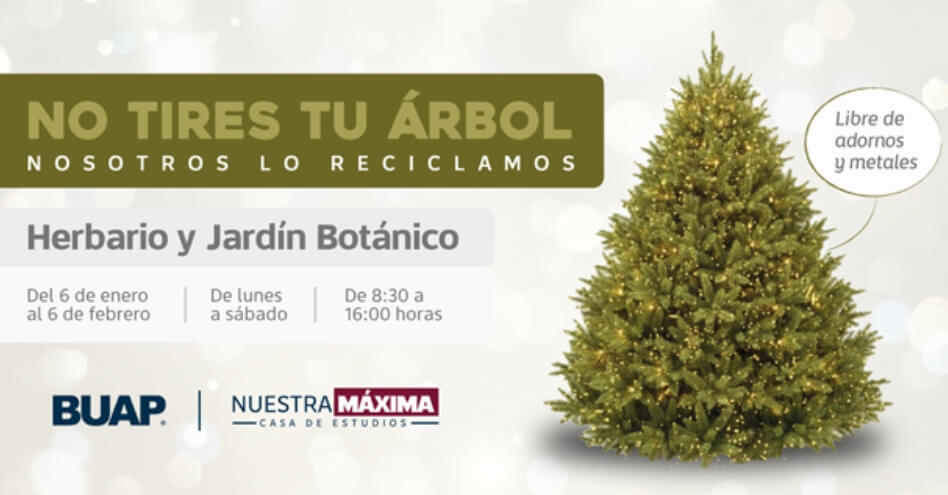 Colecta BUAP árboles de Navidad para elaboración de composta
