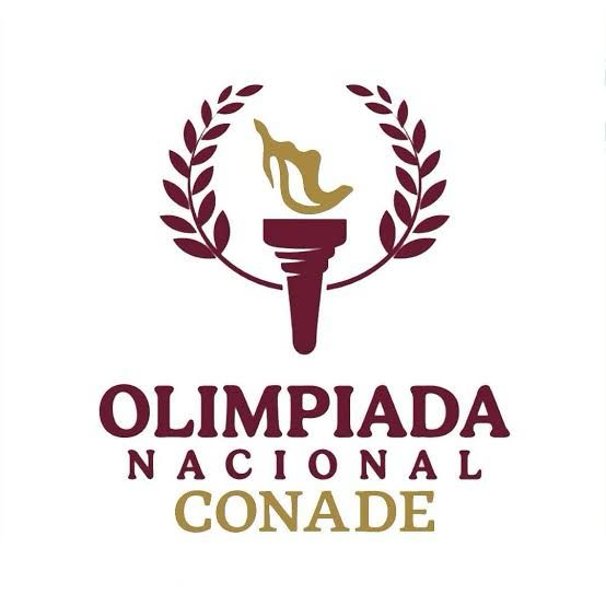 Whatsapp Image 2026 03 19 At 1.02.17 Pm