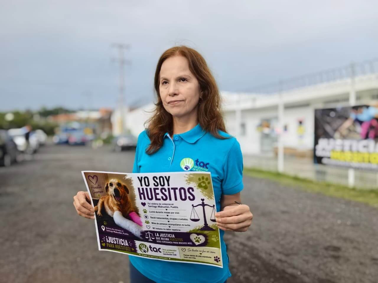 Una realidad, sanciones a violentadores de mascotas
