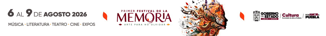 Diseño Fmemorias 1296 144